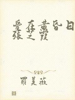 爱在黄昏日落时张芝霞