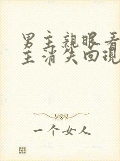 男主亲眼看着女主消失回现代