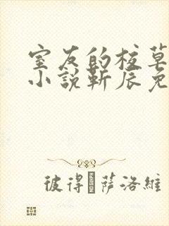 室友的校草男友小说靳辰免费阅读下载