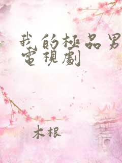 我的极品男友 电视剧