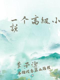 一个高级小姐小说