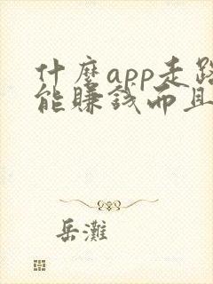 什么app走路能赚钱而且赚的多