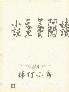 小天吴阿姨的小说免费阅读无弹窗