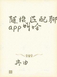 随机匹配聊天的app叫啥