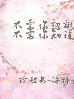 不需你认识我,不需你知道我是什么歌