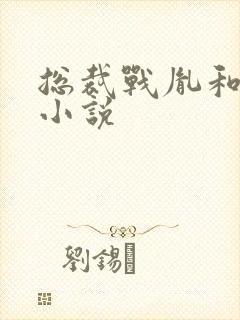 总裁战胤和海彤小说