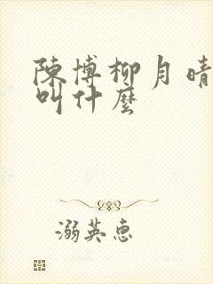 陈博柳月晴短剧叫什么