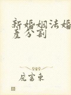 新婚姻法婚前房产分割