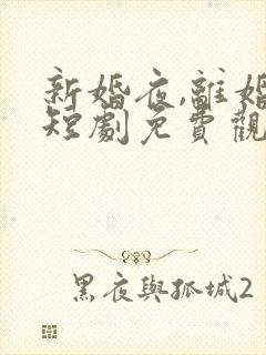 新婚夜,离婚时短剧免费观看全集