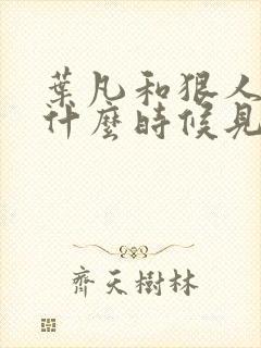 叶凡和狠人大帝什么时候见面