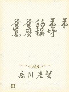 爸爸的弟弟老婆怎么称呼