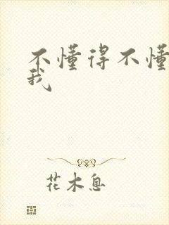 不懂得不懂的爱我