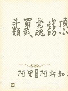 斗罗觉醒顶级剑类武魂的小说