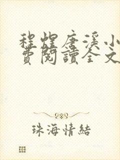 程煜唐溪小说免费阅读全文