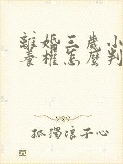 离婚三岁小孩抚养权怎么判定