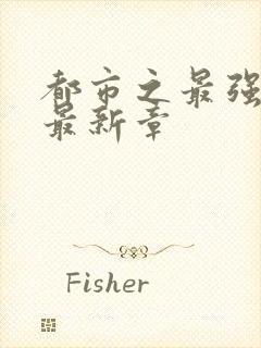 都市之最强狂兵最新章