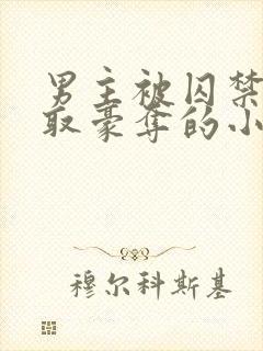 男主被囚禁被强取豪夺的小说