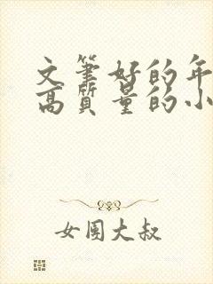 文笔好的年代文高质量的小说