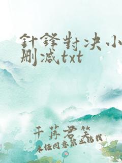 针锋对决小说未删减txt