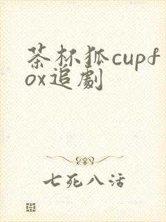 茶杯狐cupfox追剧