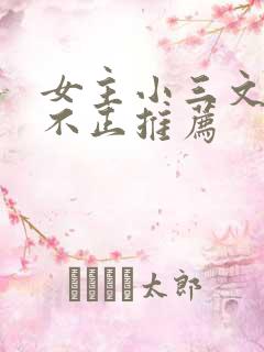 女主小三文三观不正推荐