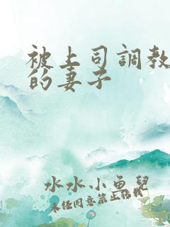 被上司调教堕落的妻子