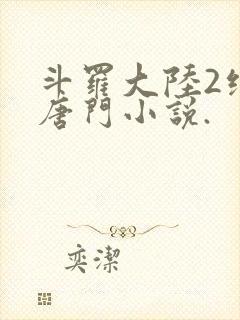 斗罗大陆2绝世唐门小说.