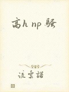 高h np 骚