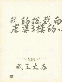 我的总裁白富美老婆3楼的小说