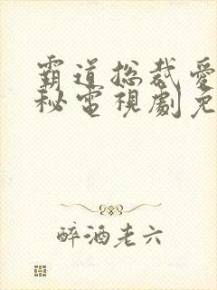 霸道总裁爱上女秘电视剧免费