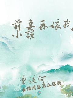 前妻再嫁我一次小说