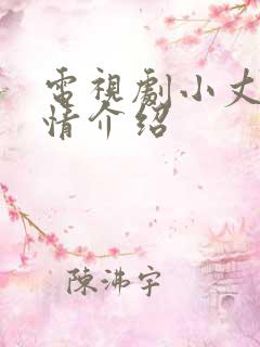 电视剧小丈夫剧情介绍