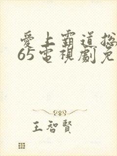 爱上霸道总裁365电视剧免费观看全集