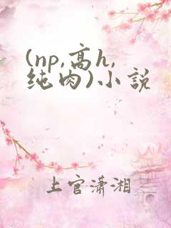(np,高h,纯肉)小说