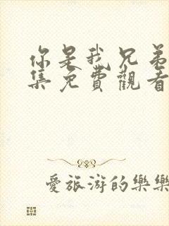 你是我兄弟40集免费观看