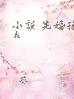 小说 先婚后爱 h