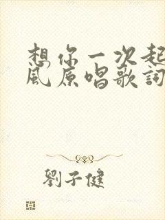 想你一次起一阵风原唱歌词
