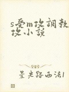 s受m攻调教虐攻小说
