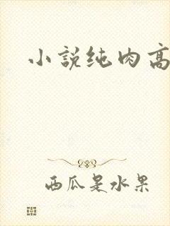 小说纯肉高h