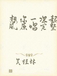 想你一次起一阵风原唱完整版