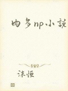 肉多np小说