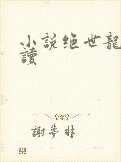 小说绝世龙帅阅读