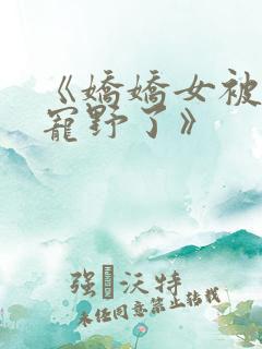 《娇娇女被九叔宠野了》