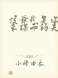 侯爷我是你那素未谋面的夫人啊3