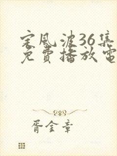 定风波36集全免费播放电视剧