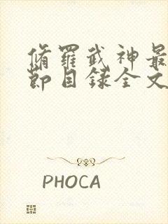 修罗武神最新章节目录全文阅读