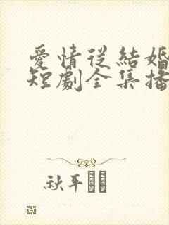 爱情从结婚开始短剧全集播放视频