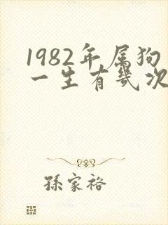 1982年属狗一生有几次婚姻