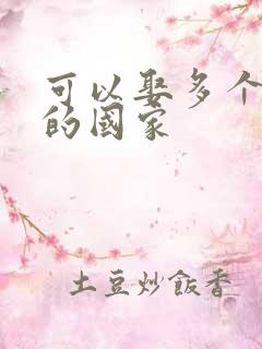 可以娶多个老婆的国家