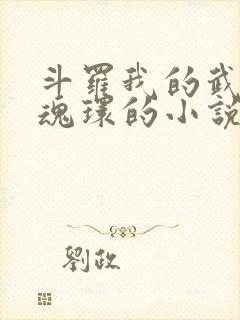 斗罗我的武魂是魂环的小说